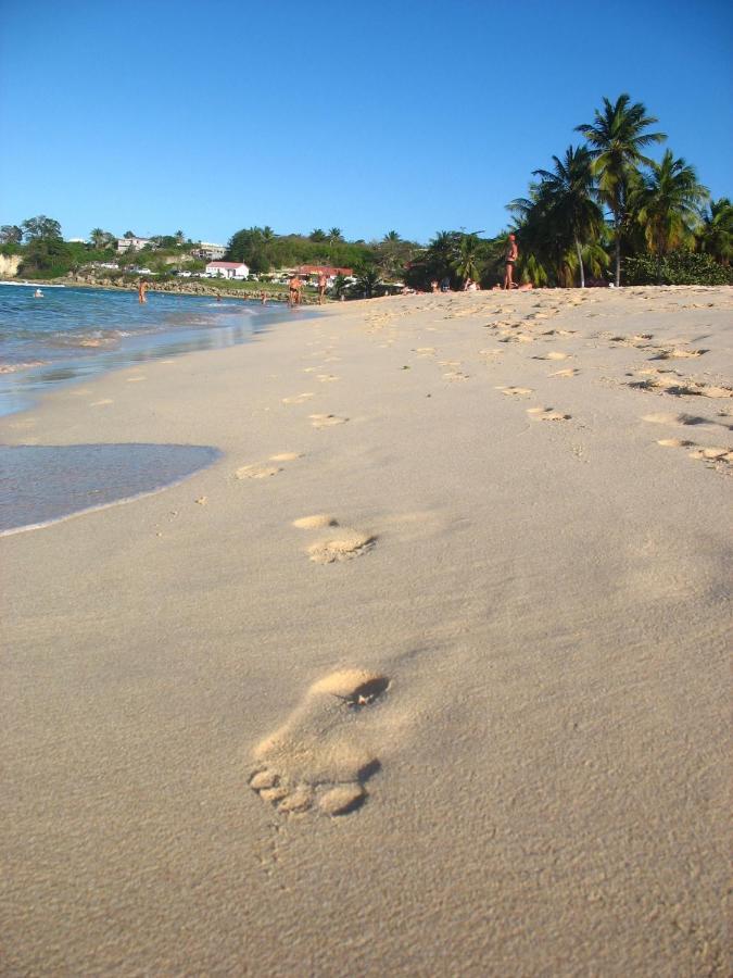 Вилла Les Algues De La Chapelle Bleu Horizon Anse-Bertrand Экстерьер фото